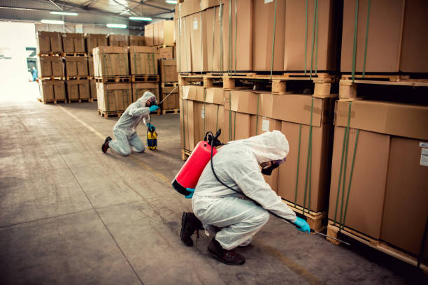 Best Insect Control  in Columbia, IL