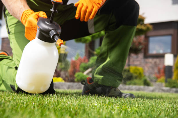 Best Pest Control for Homes  in Columbia, IL
