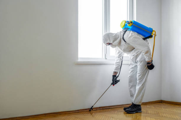 Best Pest Inspection Near Me  in Columbia, IL