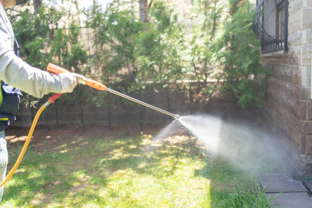 Best Best Pest Control Companies  in Columbia, IL