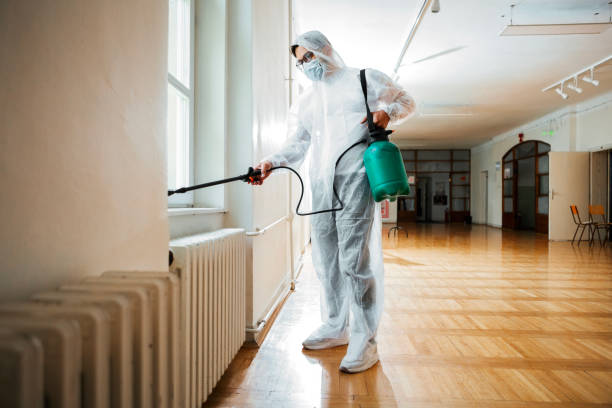 Best Wasp Removal Services  in Columbia, IL